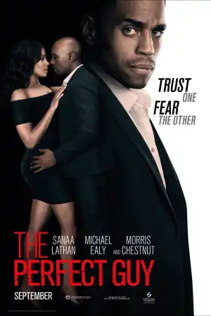 The Perfect Guy постер