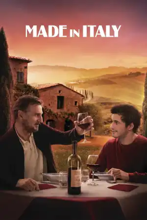 Made in Italy постер