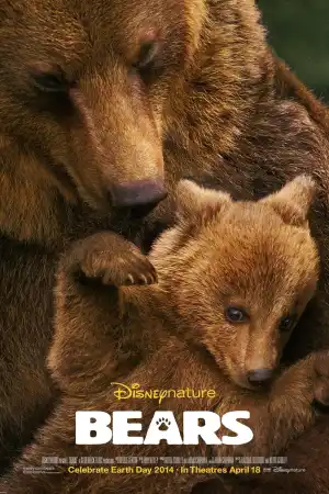 Bears постер