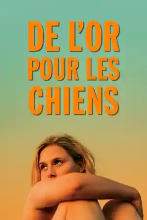 De l'or pour les chiens постер