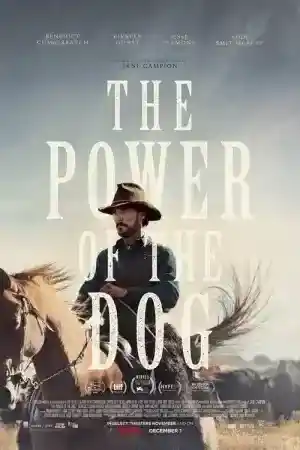 The Power of the Dog постер
