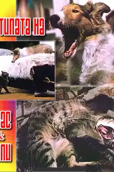 Патилата на Спас и Нели - Български филми онлайн - 1987
