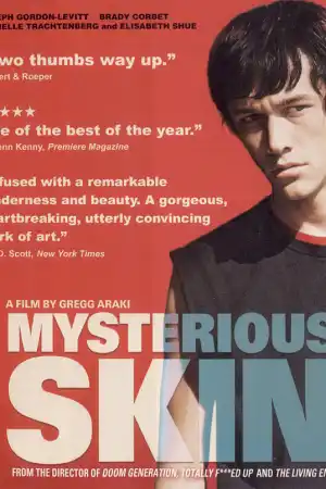 Mysterious Skin постер