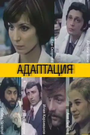 Адаптация постер
