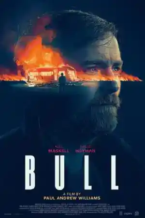 Bull постер