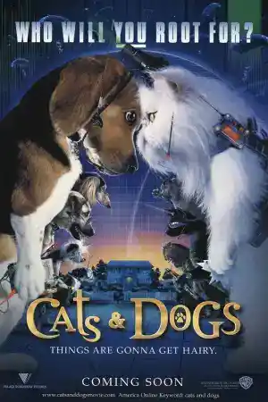 Cats and Dogs постер