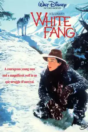 White Fang постер
