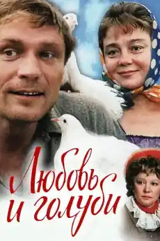 Любов и гълъби - Романтични филми онлайн - 1984