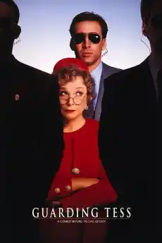 Да охраняваш Тес - Екшън филми онлайн - 1994