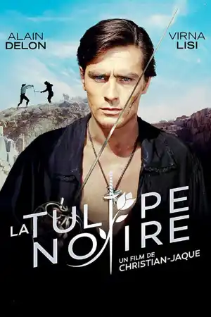La Tulipe Noire постер