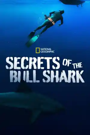 Secrets of the Bull Shark постер