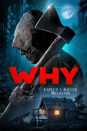 Why? постер