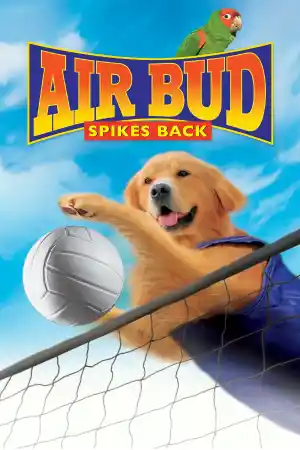 Air Bud Spikes Back постер
