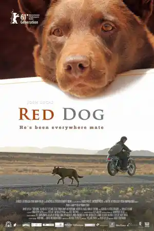 Red Dog постер