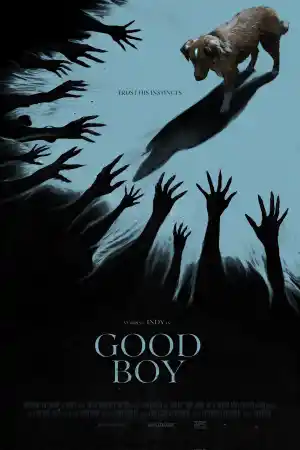 Good Boy постер