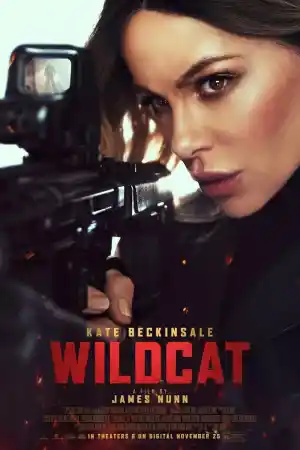 Wildcat постер