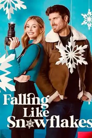 Falling Like Snowflakes постер